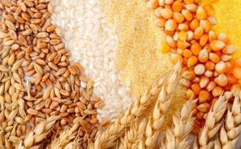 Báo cáo bán hàng có thể tạo sức ép tới giá đậu tương