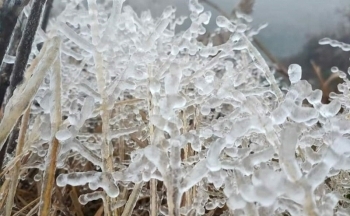 Thời tiết chiều nay 26/1/2024: Bắc Bộ rét hại trên diện rộng