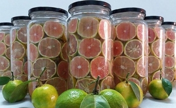 Lợi ích tuyệt vời của chanh đào mật ong vào mùa đông