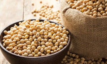Nhu cầu suy yếu đè nặng lên giá đậu tương