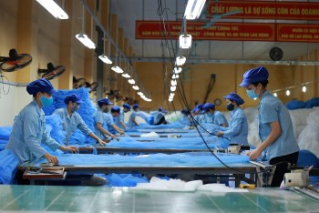 Doanh nghiệp gia nhập thị trường tăng mạnh, nhưng đa phần có quy mô nhỏ