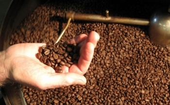 Cà phê Robusta vẫn có cơ hội hướng tới các vùng đỉnh mới