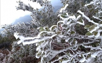 Thời tiết chiều nay 28/1/2024: Bắc Bộ chìm trong mưa rét; Trung Bộ mưa rải rác