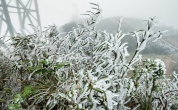 Thời tiết chiều nay 29/1/2024: Bắc Bộ vẫn mưa rét, Trung Bộ mưa rào rải rác