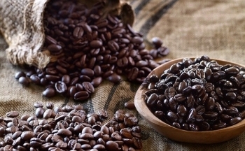 Giá cà phê mới nhất ngày 31/1/2024: Thị trường cà phê trong nước duy trì đà tăng, mức 500 – 600 đồng/kg