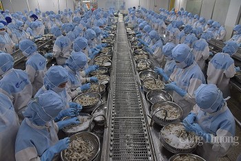 Tháng 1/2024, xuất khẩu nông lâm thủy sản thu về 5,14 tỷ USD