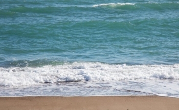 Dự báo thời tiết biển hôm nay 1/2/2024: Có mưa vài nơi, sáng và đêm có sương mù nhẹ