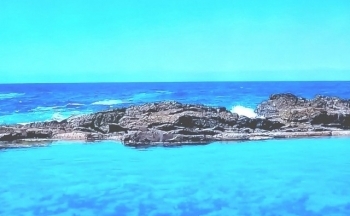 Dự báo thời tiết biển hôm nay 2/2/2024: Có sương mù nhẹ và mưa vài nơi