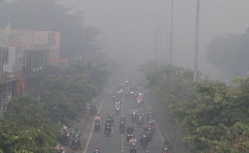 Thời tiết chiều nay 2/2/2024: Bắc Bộ sương mù, nồm ẩm; Nam Bộ nắng