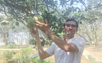 Bình Dương: Để hương bưởi Bạch Đằng mãi bay xa