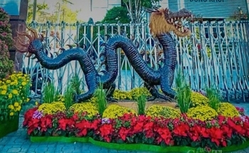 Bến Tre: Xuất hiện 