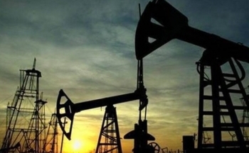 Giá dầu thô hồi phục, thị trường nông sản ảm đạm