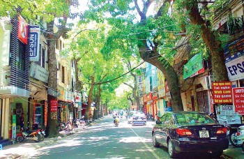 Chuyện nhặt được dọc 