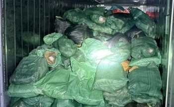 Lào Cai: Phát hiện, ngăn chặn 14 tấn thực phẩm bẩn không rõ nguồn gốc