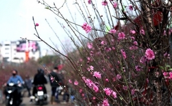 Dự báo thời tiết Hà Nội ngày mai 8/2/2024: Hà Nội chuyển mưa rét