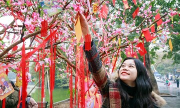 Hái lộc đầu năm sao cho đúng để có nhiều tài lộc, may mắn?