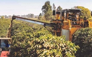 Số liệu CPI tháng 1 của Mỹ tạo áp lực lên giá cà phê?