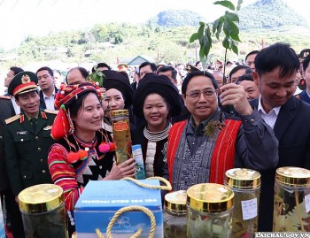 Xây dựng Sâm Lai Châu thành 