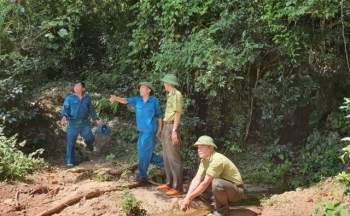 Hòa Bình: Những người canh rừng xuyên Tết giữa đại ngàn Tây Bắc