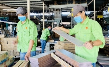 Bà Rịa - Vũng Tàu: Hỗ trợ pháp lý cho doanh nghiệp nhỏ và vừa