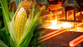 Thị trường hàng hóa hôm nay ngày 16/2/2024: Thị trường hàng hóa sôi động trở lại sau kỳ nghỉ Tết