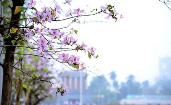 Dự báo thời tiết Hà Nội ngày mai 19/2/2024: Hà Nội bắt đầu tăng nhiệt độ