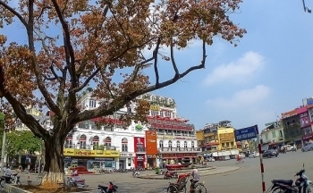 Dự báo thời tiết Hà Nội ngày mai 21/2/2024: Hà Nội ngày nắng ấm, sáng sớm mưa phùn rải rác