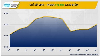 Thị trường hàng hóa hôm nay ngày 20/2/2024: Thị trường hàng hóa thế giới trầm lắng trong ngày nghỉ lễ President's day