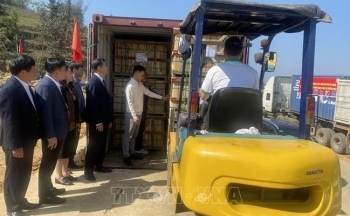 Hà Giang: Huyện Xín Mần tổ chức lễ xuất khẩu lô củ cải sang thị trường Nhật Bản đầu xuân mới