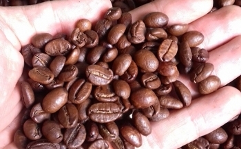 Lo ngại về nguồn cung tạo áp lực lên giá cà phê