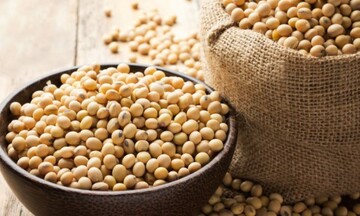 Lực bán có thể sẽ chiếm ưu thế với đậu tương phiên hôm nay