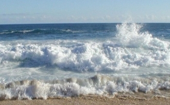 Dự báo thời tiết biển hôm nay 23/2/2024: Phía Đông Bắc của Bắc Biển Đông có gió mạnh và sóng lớn