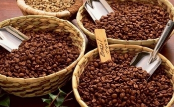 Tồn kho tăng trở lại tạo áp lực lên giá cà phê