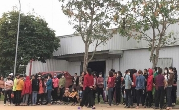 Nghệ An: 300 công nhân may ngừng việc để yêu cầu công ty trả lương