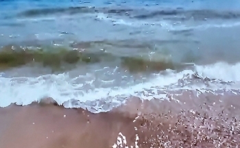 Dự báo thời tiết biển hôm nay 26/2/2024: Gió Đông Bắc mạnh, biển động