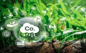 Xuất khẩu toàn cầu tới EU có thể giảm vì chính sách điều chỉnh carbon