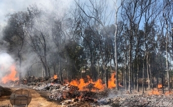 Đồng Nai: Cháy trên địa bàn huyện Xuân Lộc, nhiều tài sản và cây trồng bị lửa thiêu rụi