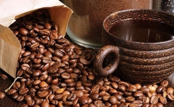 Giá cà phê mới nhất ngày 27/2/2024: Thị trường cà phê trong nước duy trì đà tăng cao nhất lên 82.600 đồng/kg