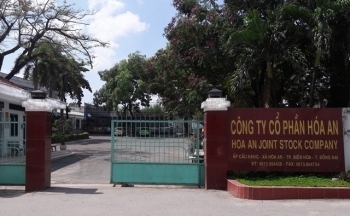 Đồng Nai: Chiếm hơn 40.000 m2 đất, Công ty Hóa An bị phạt 600 triệu đồng
