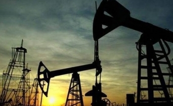 Thị trường nông sản chia hai nửa xanh đỏ, giá dầu thô nối dài đà giảm