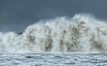 Dự báo thời tiết biển hôm nay 1/3/2024: Gió Đông Bắc giật cấp 8-9, biển động mạnh