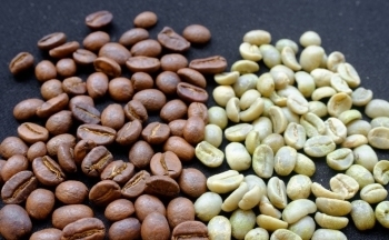 Bất chấp tồn kho có tín hiệu cải thiện, giá cà phê vẫn phục hồi