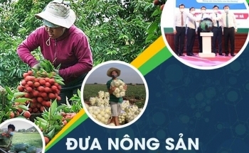 Thanh Hóa: Chuyển đổi số trong xây dựng nông thôn mới, hướng tới nông thôn mới thông minh, hiện đại