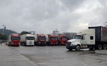 Lào Cai: Trong dịp nghỉ Lễ Quốc khánh, mỗi ngày có 550 xe thông quan xuất - nhập khẩu hàng hóa