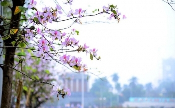 Dự báo thời tiết Hà Nội ngày mai 6/3/2024: Hà Nội sáng có sương mù, trưa chiều hửng nắng