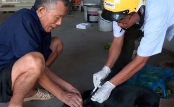 Dịch bệnh dại tiếp tục diễn biến phức tạp ở Đồng Nai