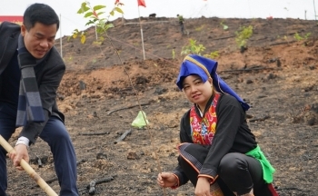 Phát triển huyện Ba Chẽ thành trung tâm kinh tế dược liệu tỉnh Quảng Ninh