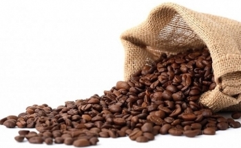 Giá cà phê mới nhất ngày 8/3/2024: Thị trường cà phê trong nước lập đỉnh giá mới, cao nhất 90.400 đồng/kg