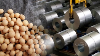 Thị trường hàng hóa hôm nay ngày 11/3:Thị trường hàng hóa nguyên liệu thế giới trải qua tuần biến động mạnh