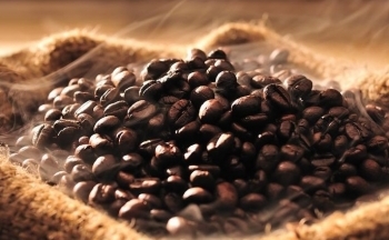 Giá cà phê mới nhất ngày 12/3/2024: Thị trường cà phê trong nước tăng 600 – 700 đồng/kg